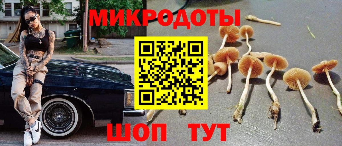 Ступино  Галлюциногенные грибы Magic Shrooms  Вход с VPN 