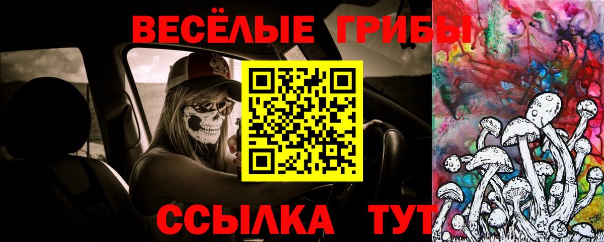 Псилоцибиновые грибы прущие грибы Ступино